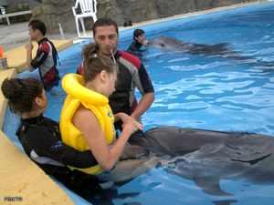 Дельфинарий лечение детей
