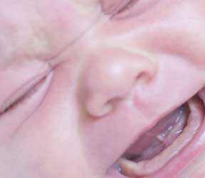 прорезывание зубов у грудных детей комаровский
